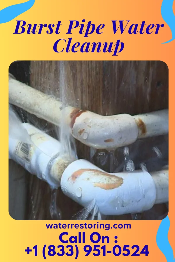 Burst Pipe Water Cleanup in Lebanon, NE