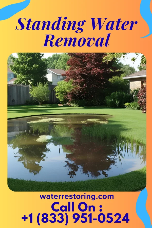Standing Water Removal in Lebanon, NE